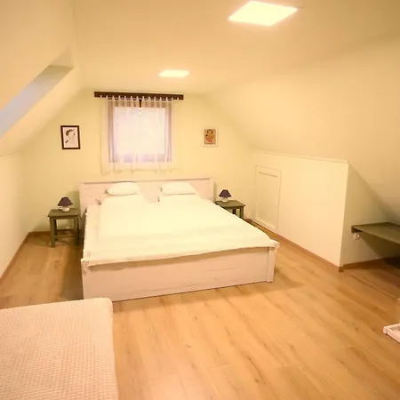Goher Pince Es Vendeghaz Apartment